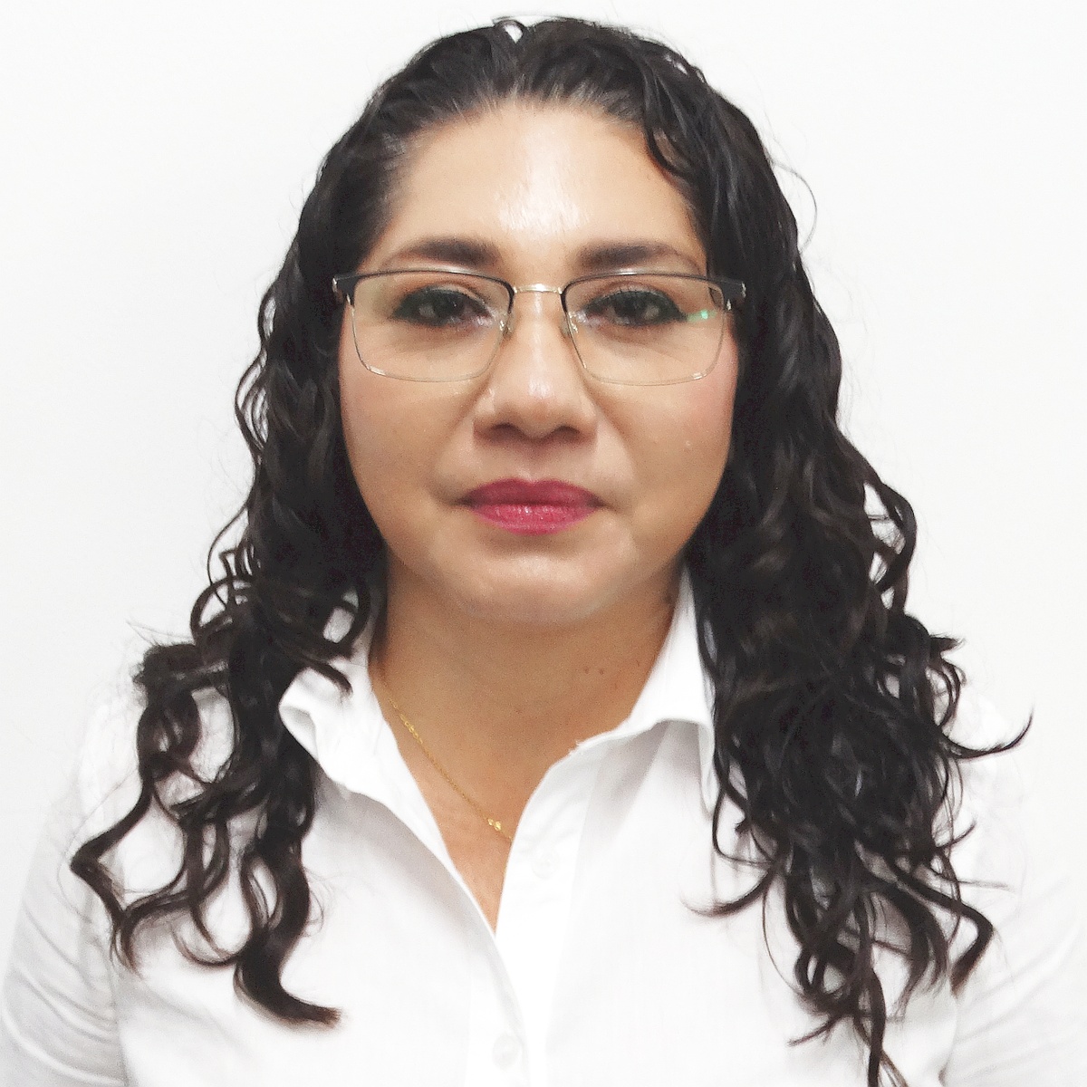 Responsable Tutorías y Asesorías