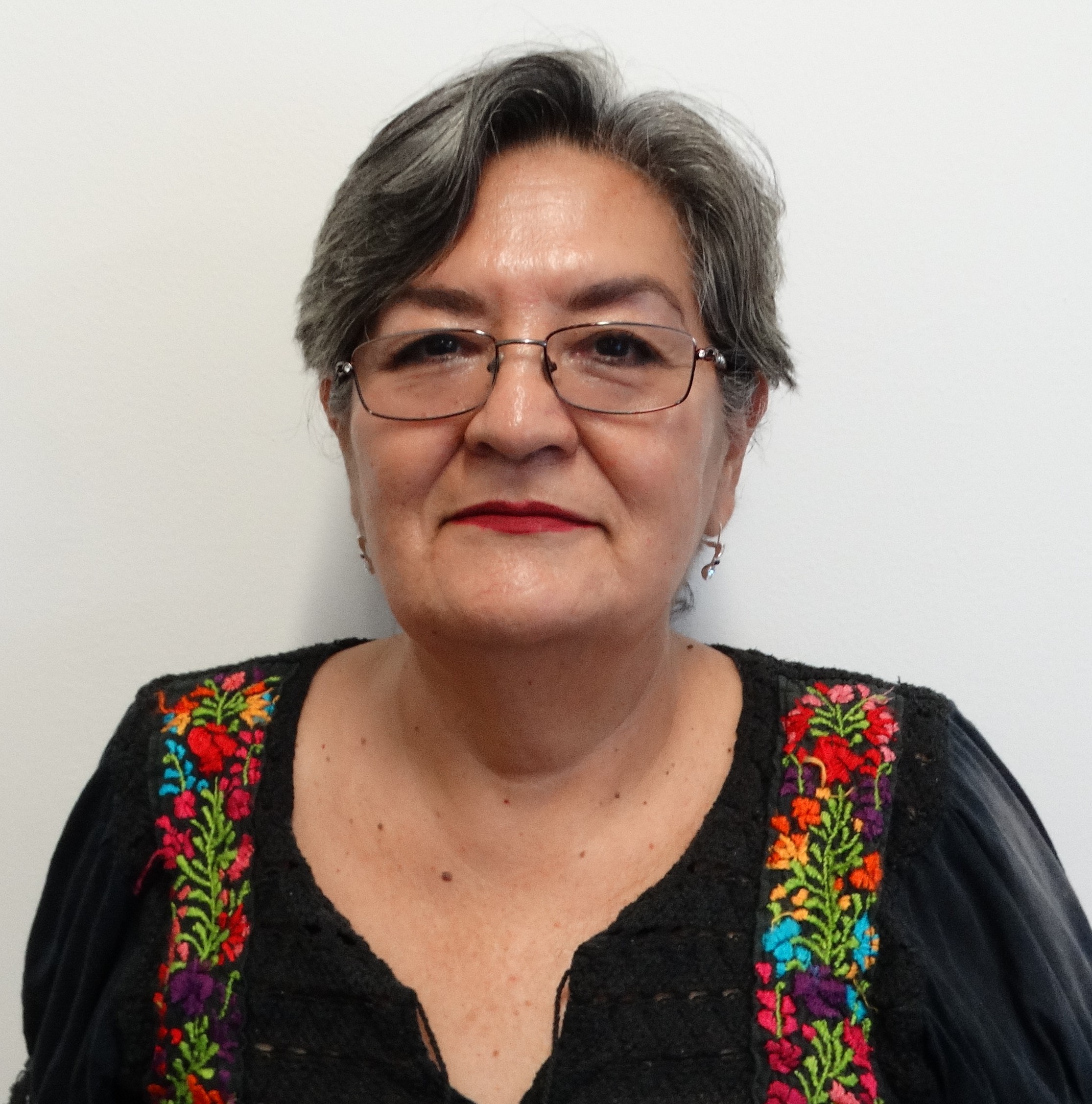 Foto de Castillo Fernández Patricia Miroslava